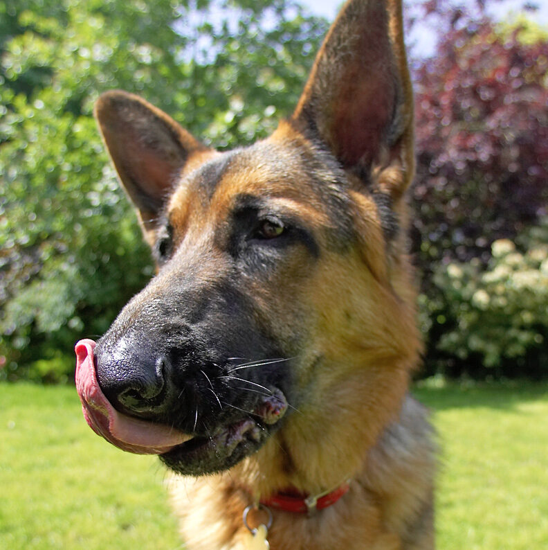Does my nose look big in this...........??