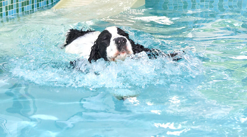 Now where's that ball gone - oh, I've got my eyes closed