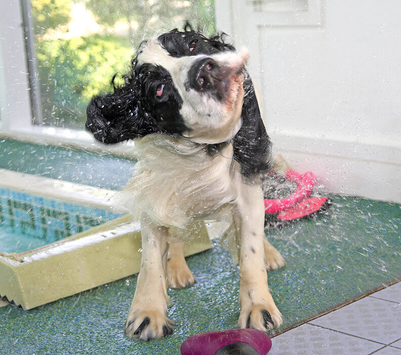 Towels are for wimps!