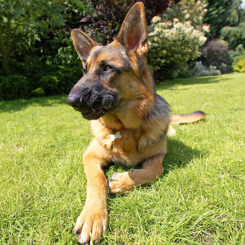 I can do the thoughtful pose
