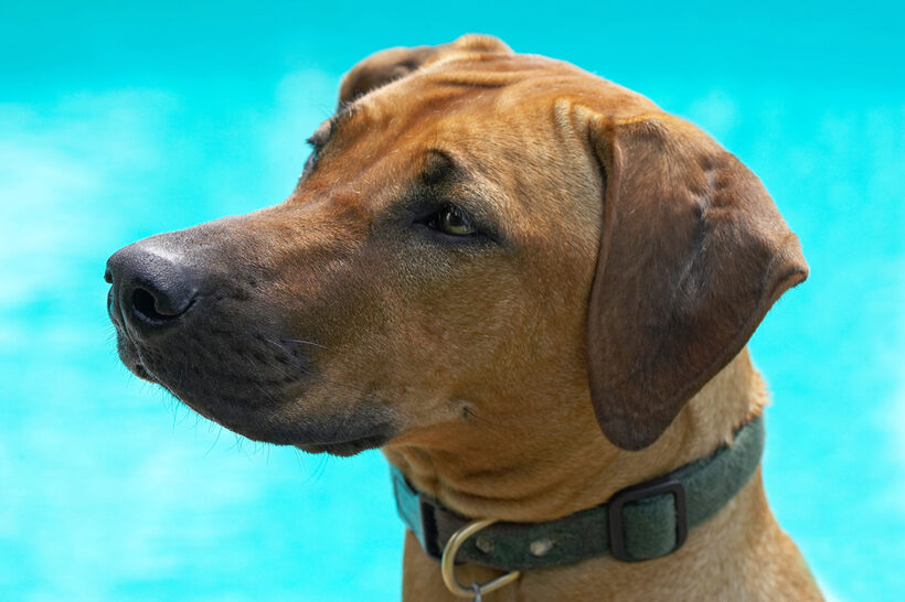 I am just sooooooooooo handsome