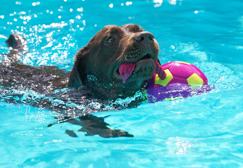 Gotta keep my head above water