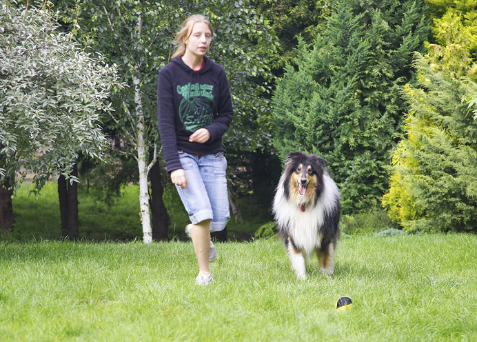Beth, Collies, Dog, Dogs, Rough collie, Scooby
