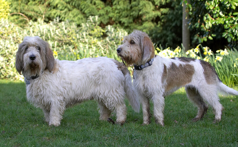 Don't look now, Libbie, but they're still watching us
