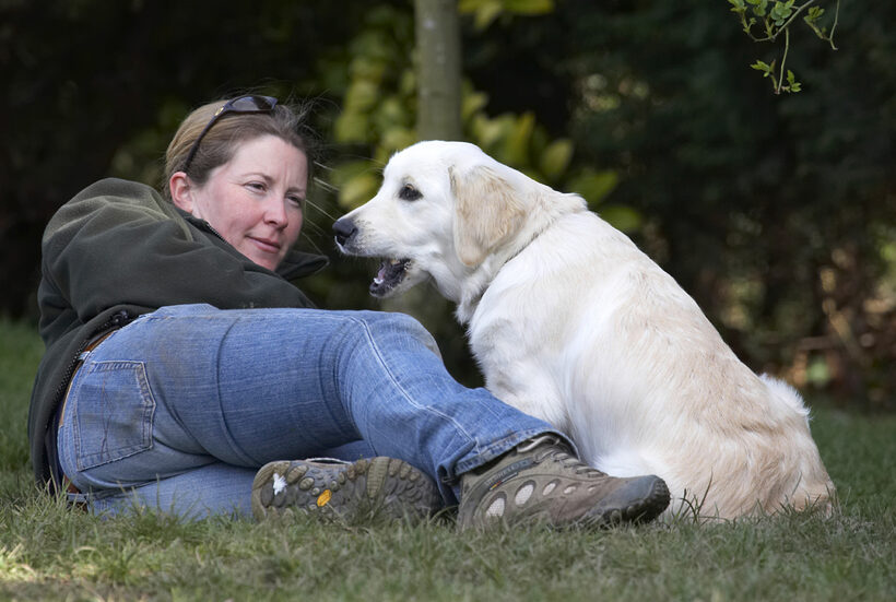 Animal, Animals, Becky, Best, Canine, Canines, Companion, Dog, Dogs, Friends, Golden Retriever, Hermes, Land Mammal, Land Mammals, Play, Playing, Playtime, Terrestrial Mammal, Terrestrial Mammals