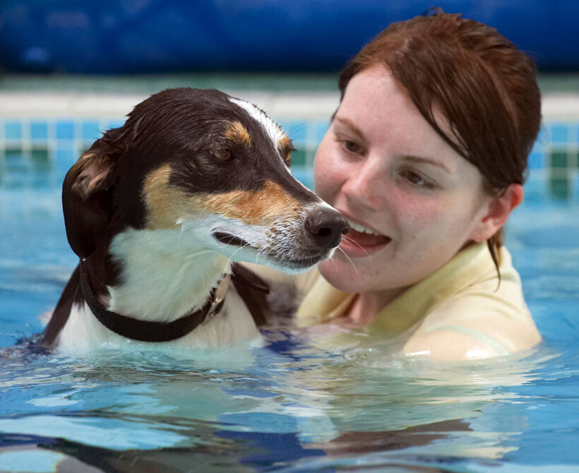 Animal, Animals, Canine, Canines, Dog, Dogs, Kate, Land Mammal, Land Mammals, Lurcher, Murphy, Play, Playing, Playtime, pool, Swimming, Terrestrial Mammal, Terrestrial Mammals