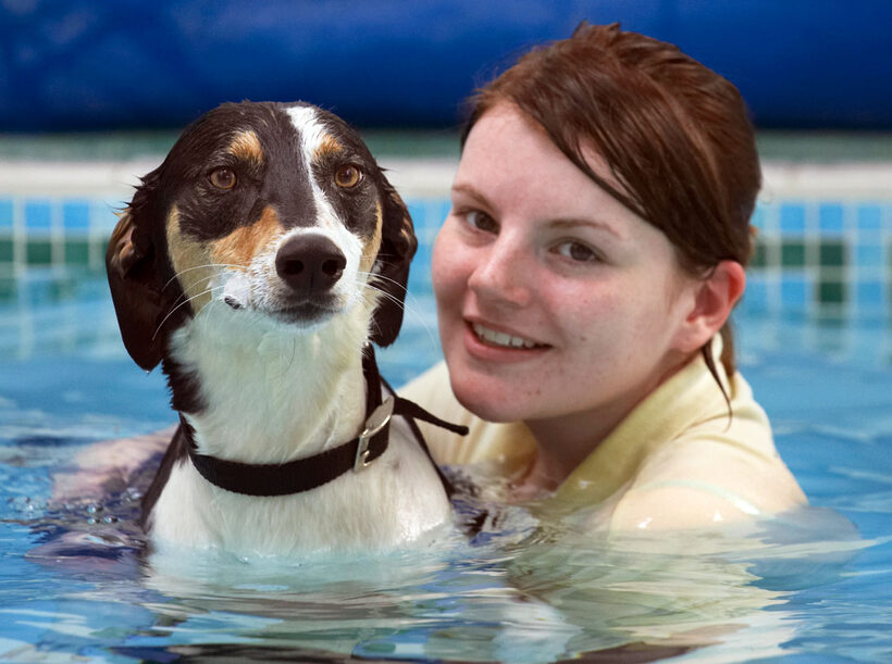 Animal, Animals, Canine, Canines, Dog, Dogs, kate, Land Mammal, Land Mammals, Lurcher, Murphy, Play, Playing, Playtime, Pool, Swimming, Terrestrial Mammal, Terrestrial Mammals