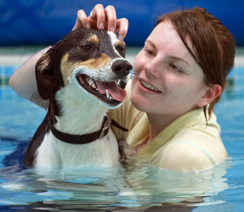 Animal, Animals, Canine, Canines, Dog, Dogs, Kate, Land Mammal, Land Mammals, Lurcher, Murphy, Play, Playing, Playtime, Pool, Smile, Swimming, Terrestrial Mammal, Terrestrial Mammals, tongue