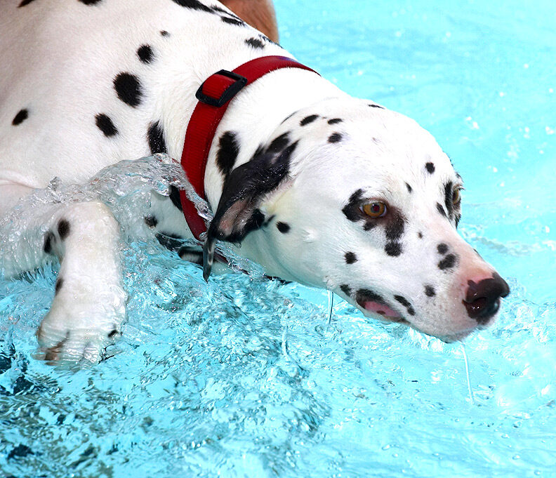 Mia Having Her Swim
