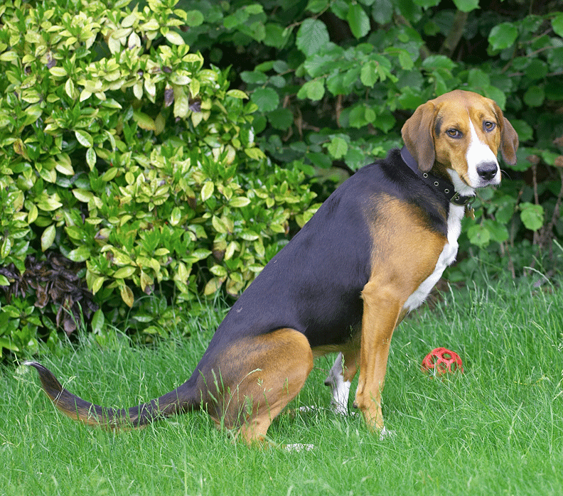Jessie waiting for things to  happen