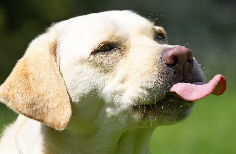 I can see my tongue!
