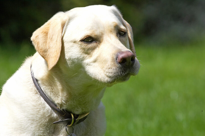 I'm just thinking