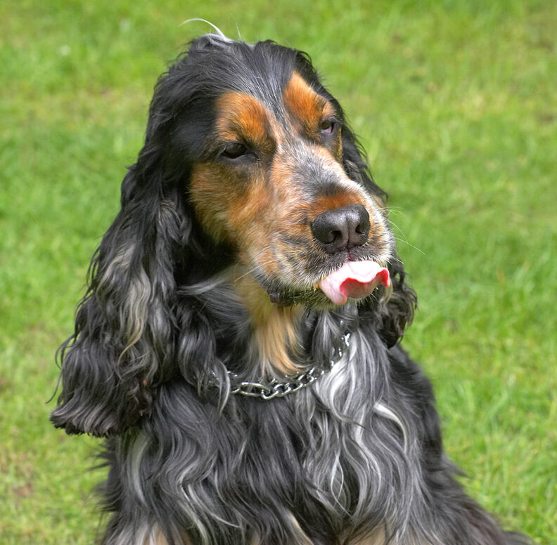 Look at the pretty patterns I can make with my tongue