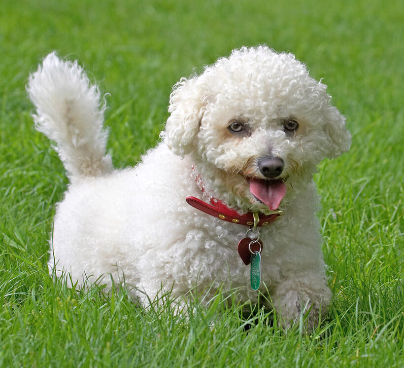 Butter wouldn't melt..............
