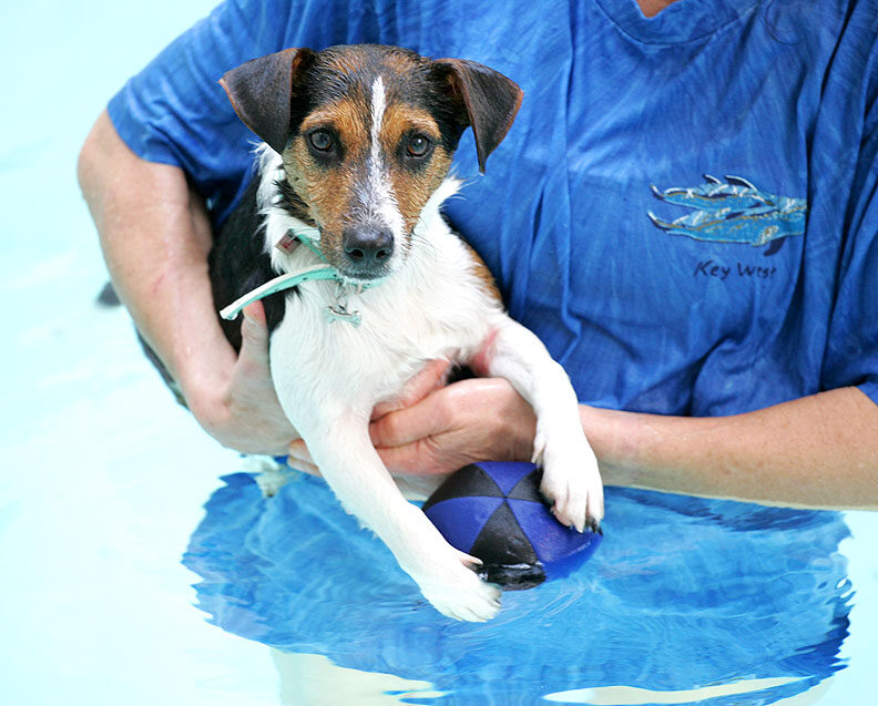 Jake in the Pool