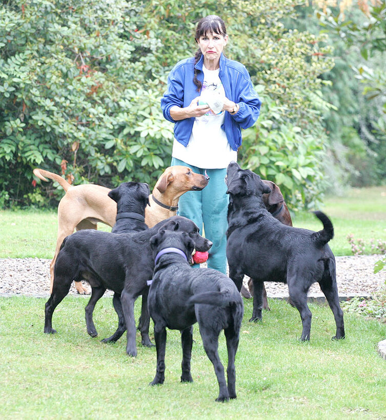 Marjorie and The Dogs