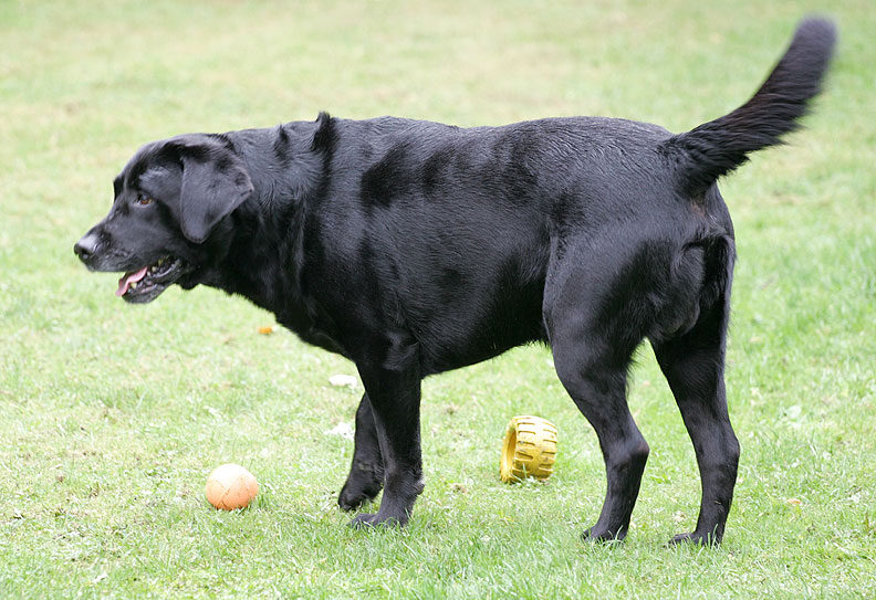 Cole eschewing all balls