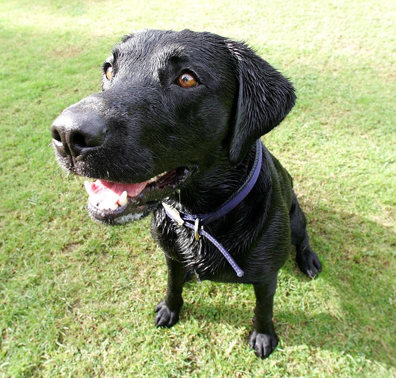 Harvey looking cute!