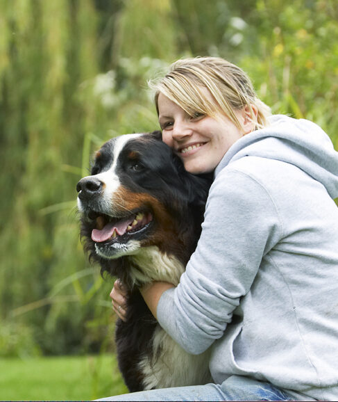 Bernese Mountain Dog, Dogs, Katie, Murphy