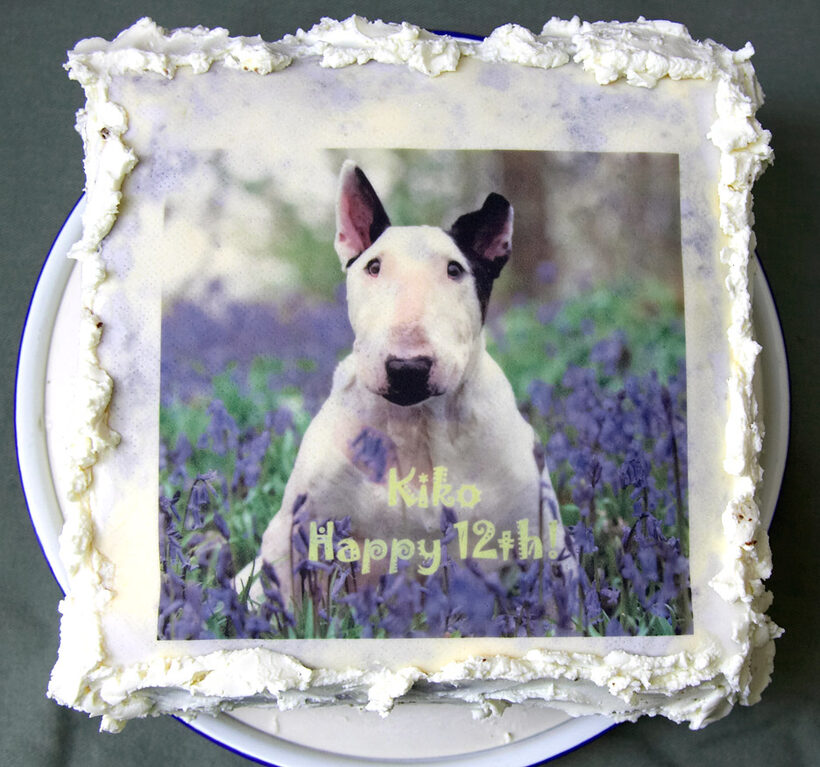 Kiko's Birthday Cake