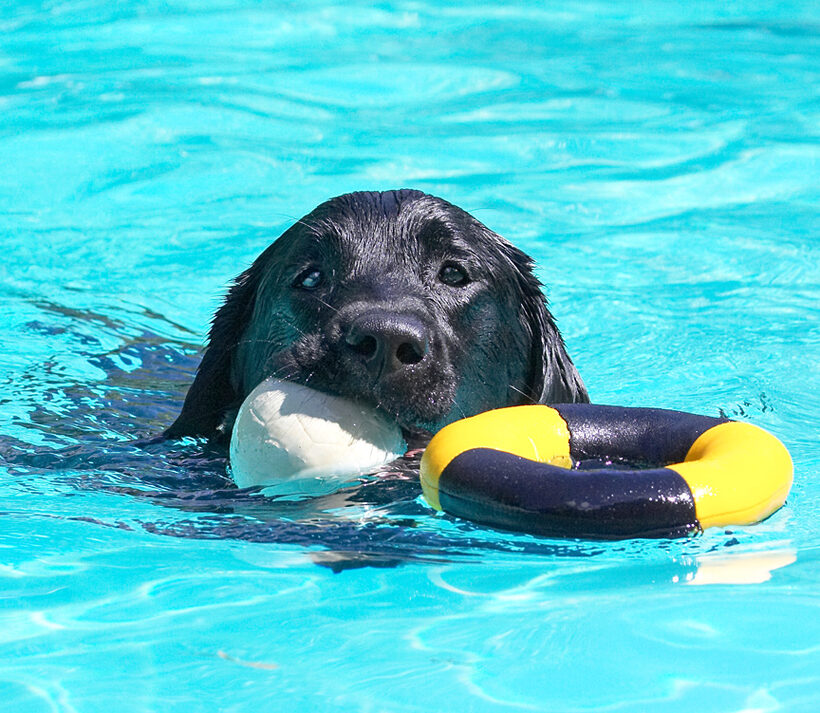What can I say; I'm just a water baby
