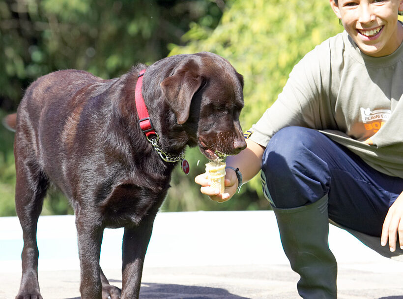 Ssshh, don't tell Mom; she's trying to keep my weight down