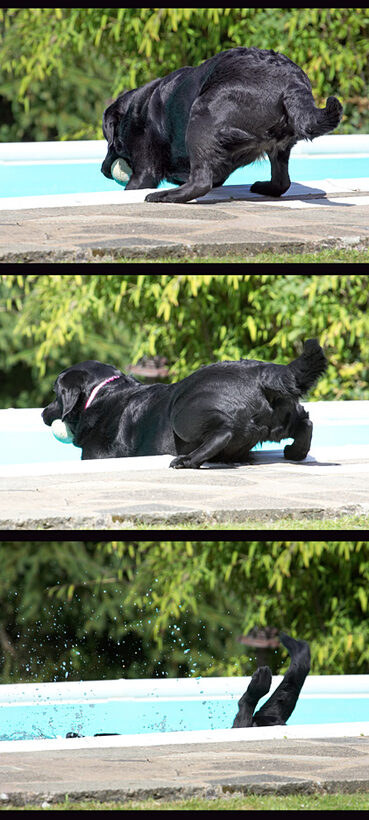 Blow this running for a ball; I'm going for a dip