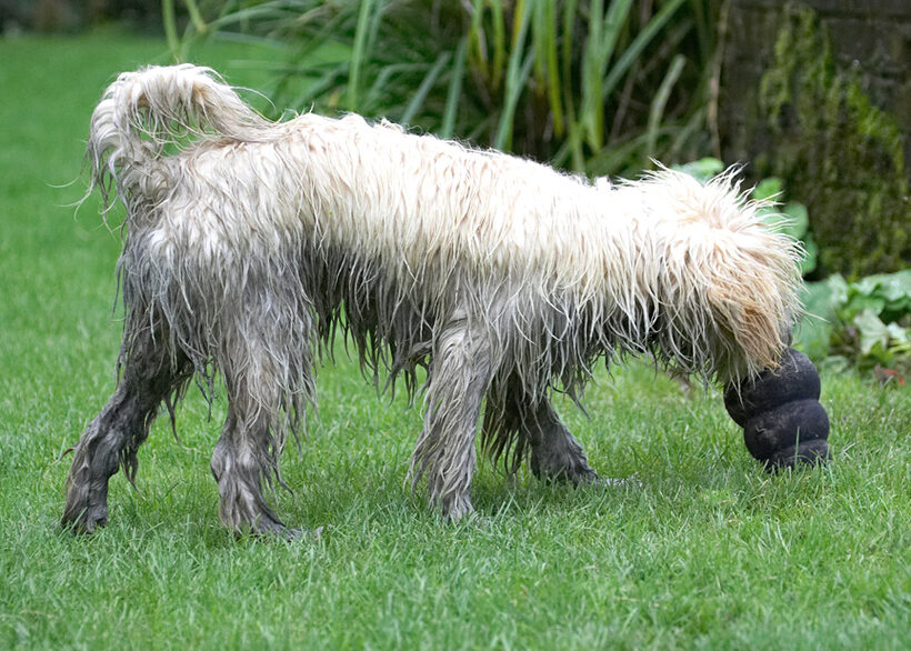 Got myself nice and mucky.  Now I'm ready for play