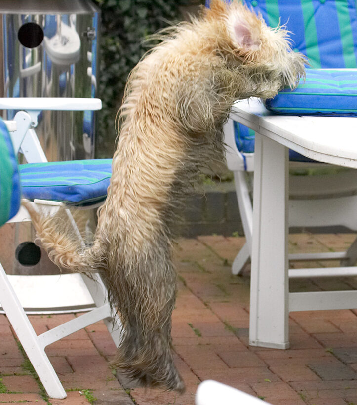 Now, if I just give a big jump............