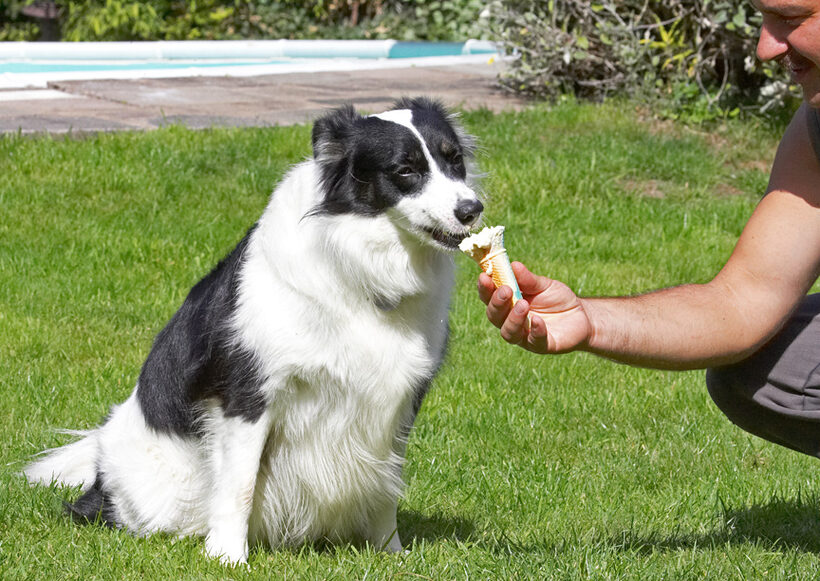 Ice cream.  Just what a girl needs after a swim
