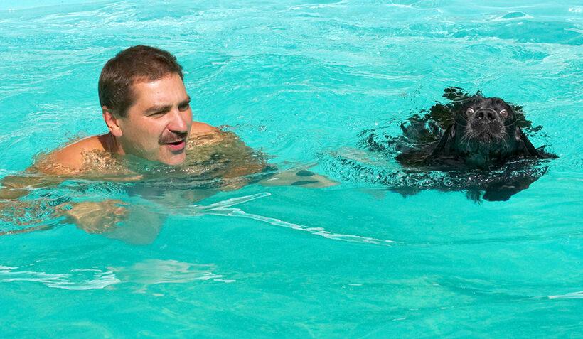 Hey, it's hard work keeping my head above water