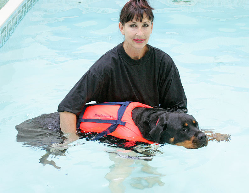 Missy in the Pool With Marjorie