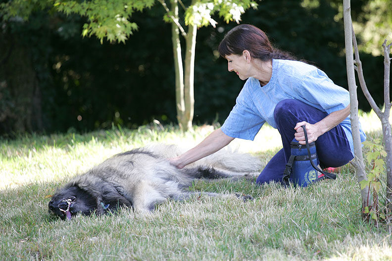 Marjorie Rubbing Oscar's Tummy