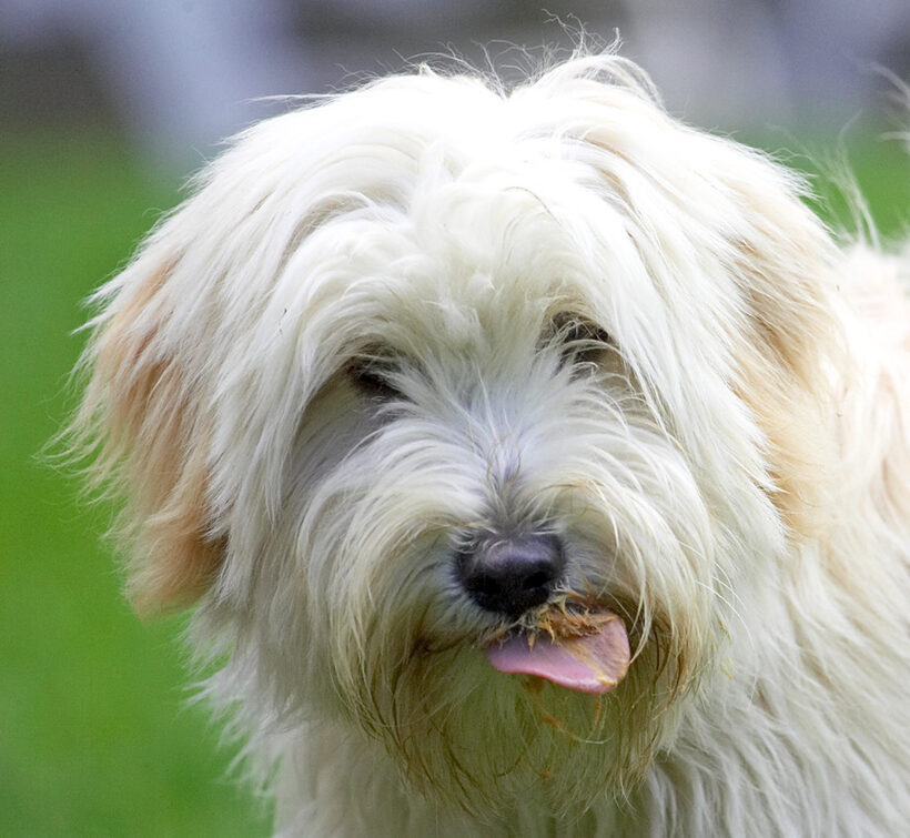 Jus' licking my chops