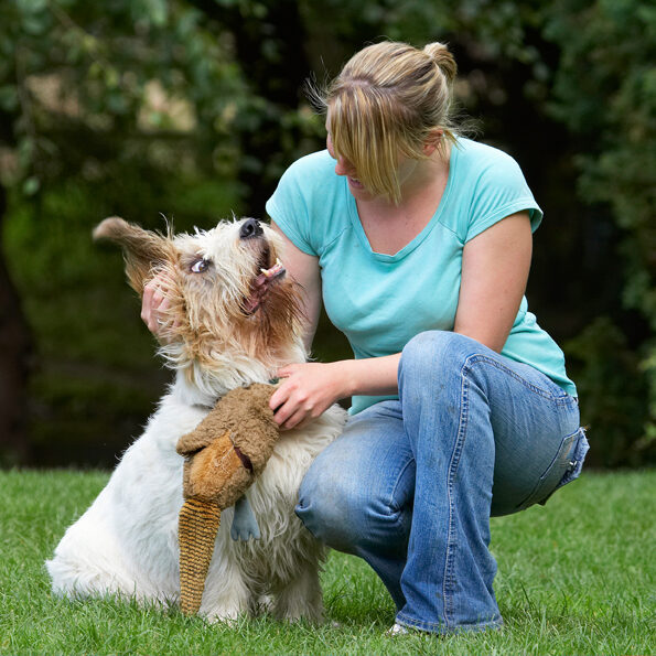 Alfie, Bassett, Cuddle, Cuddles, Dog, Dogs, Grand, Hound, Hounds, Kate, Pheasant, Play, Playing, Playtime, Vendeen, Woman