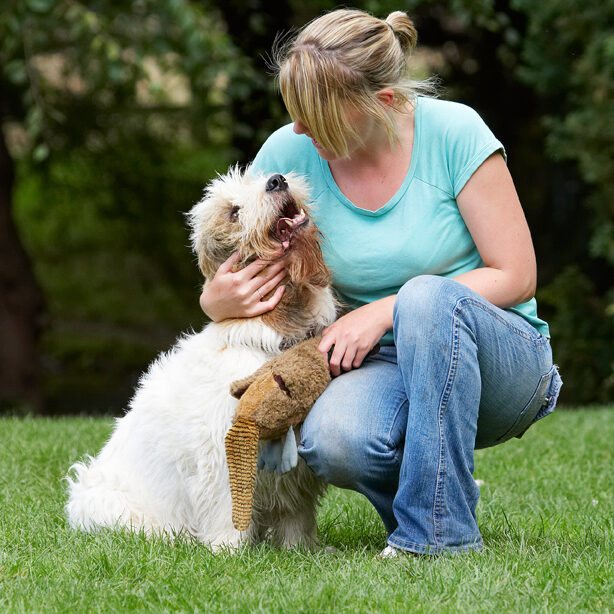 Alfie, Bassett, Blonde, Cuddle, Cuddles, Cuddling, Dog, Dogs, Grand, Hound, Hounds, Kate, Play, Playing, Playtime, Vendeen, Woman