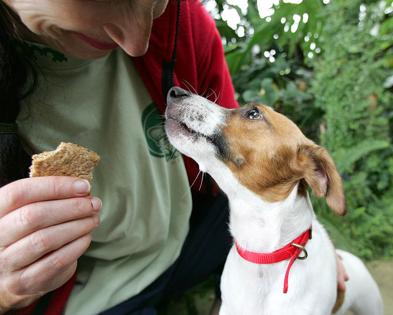 Sally Getting a Doggie Cookie