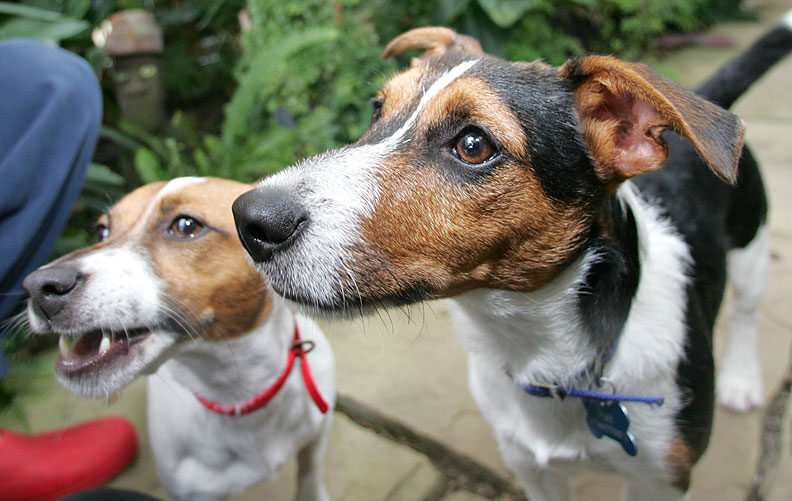 Sally and Jake