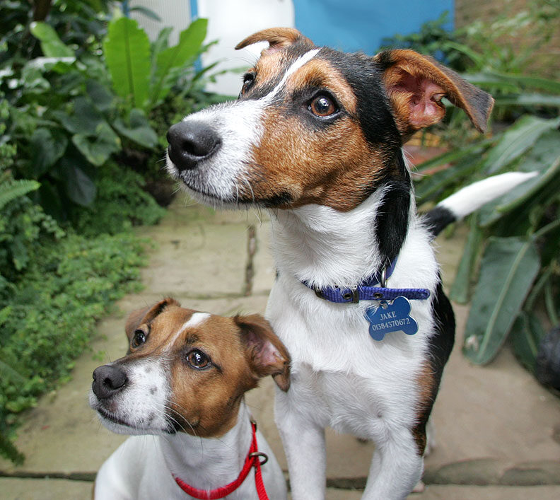Sally and Jake