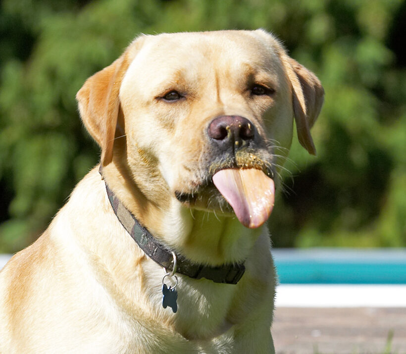 Well, this is the only way to eat peanut butter