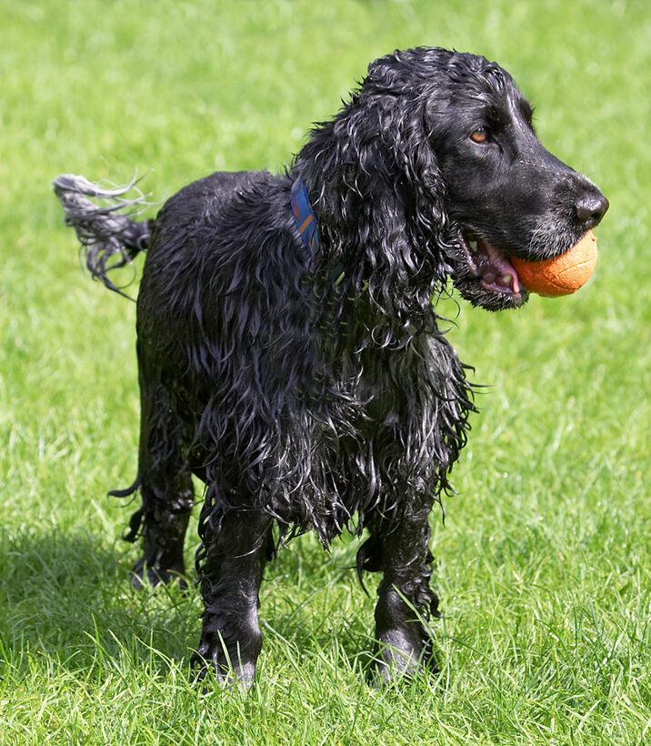 's'long as I got a ball I'm happy