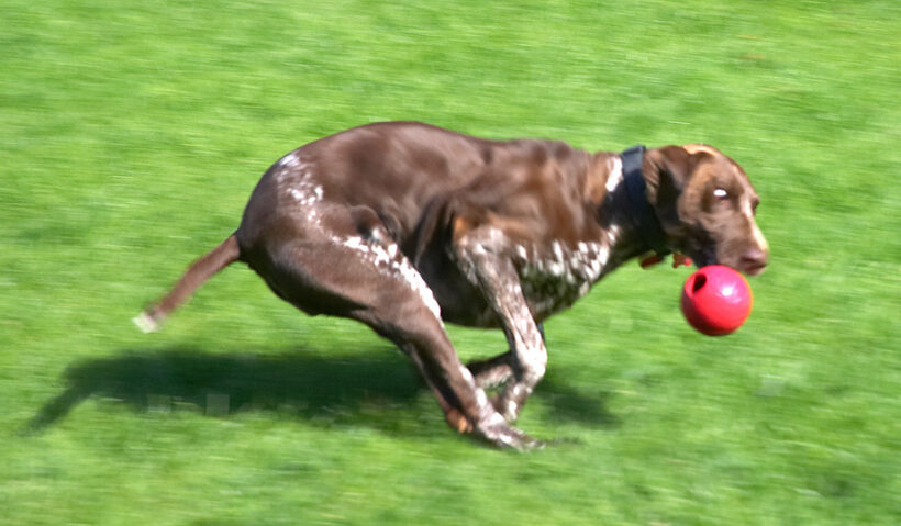 Look, I'm so fast, I'm just a blur