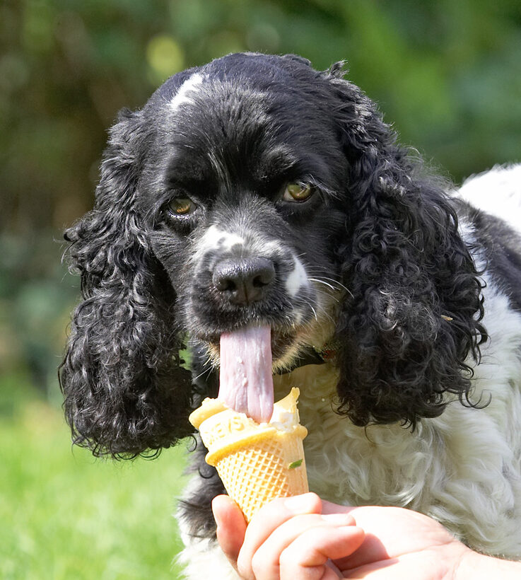 I knew I had this long tongue for a good reason