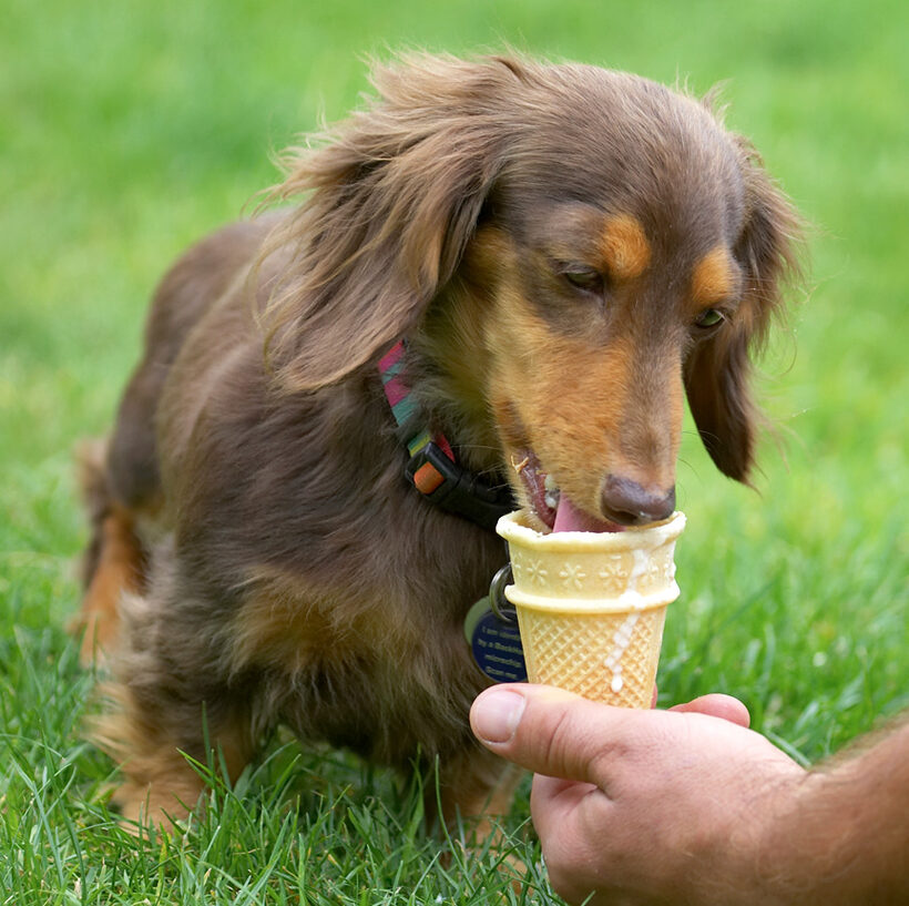 Boy, this ice cream goes a long way down