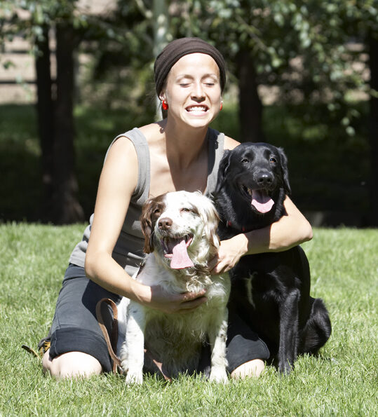 Dog, Dogs, Jodie, Labrador, Lucy, Petra, Springer Spaniel, Tongue