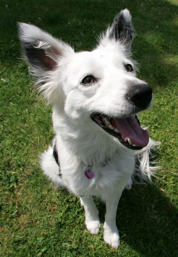 Bella