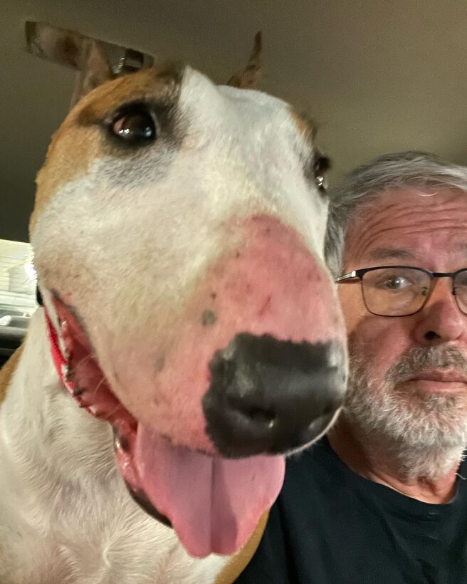 Ka Lā Bull Terrier