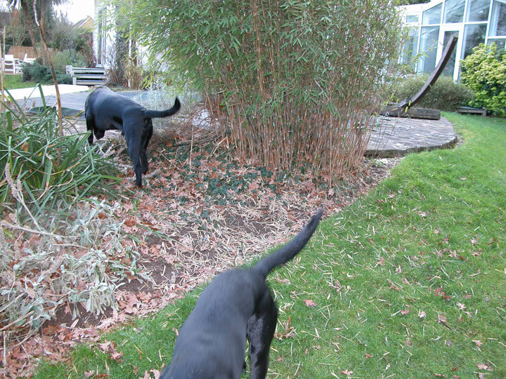 Exploring