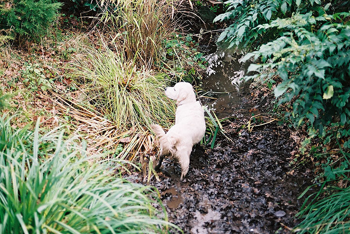 Joe in his favourite place -- the small stream
