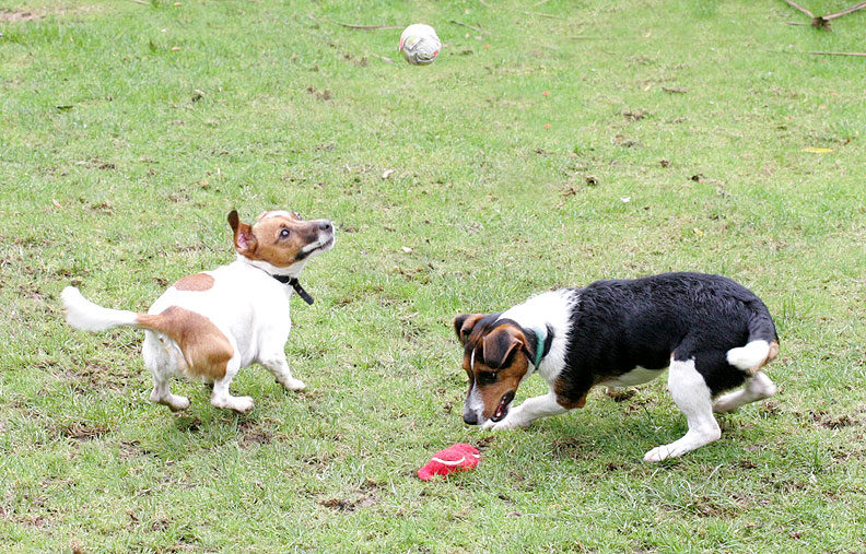 Sally Looking Up, Jake Looking Down